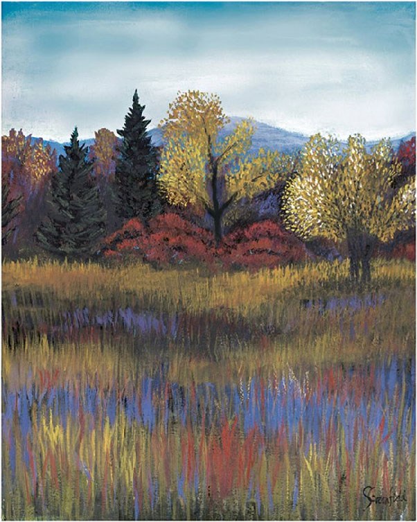 2010 Landscape