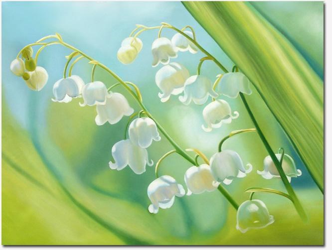 flower 211112