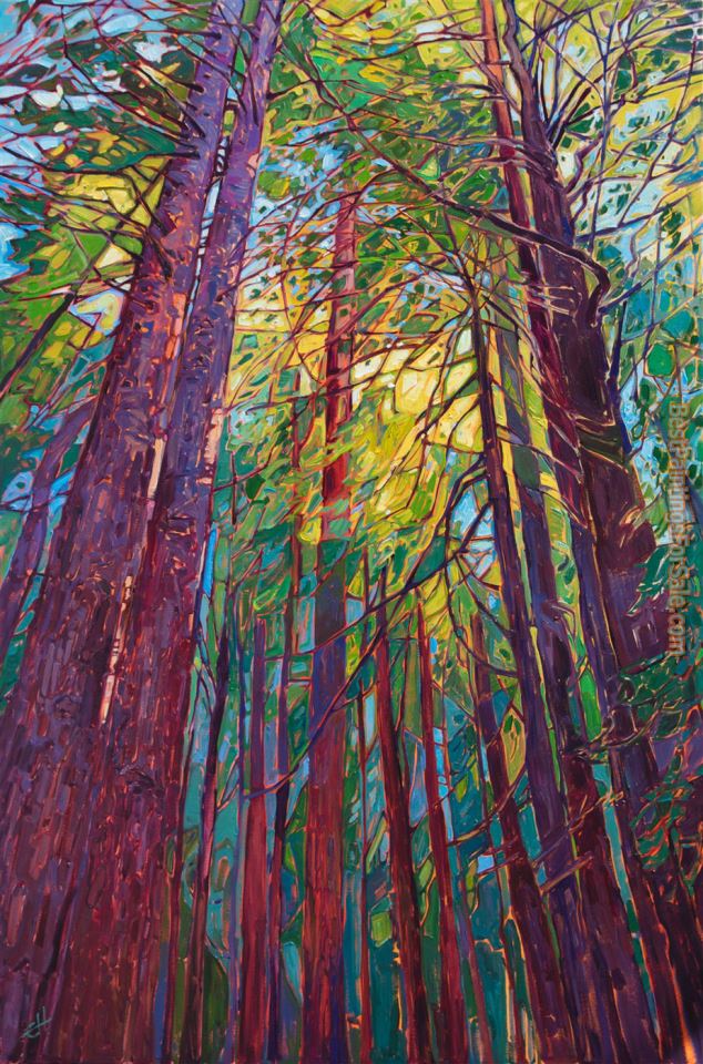 2011 Redwood Trees